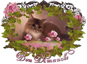 Gif animé Bon dimanche coeur